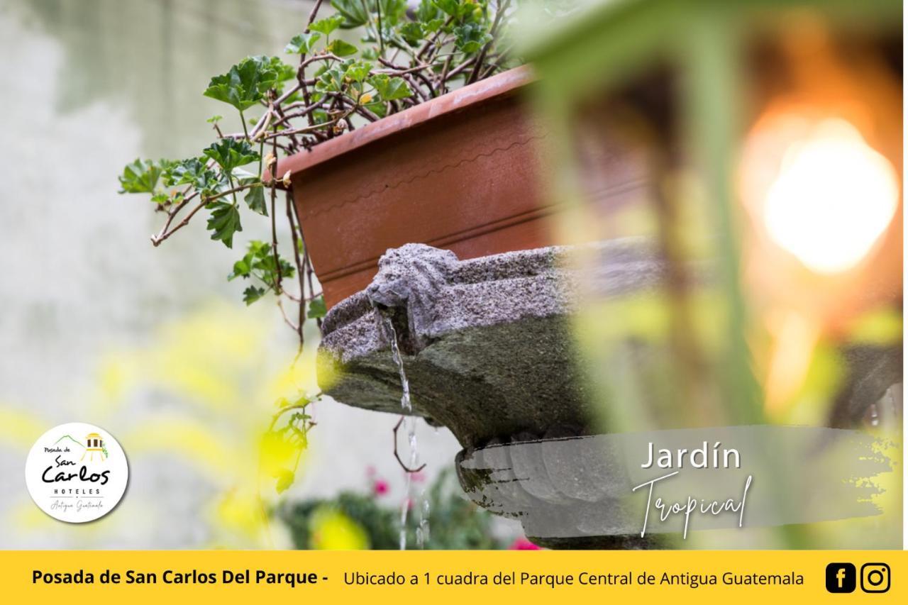 Posada De San Carlos Del Parque Антигуа-Гватемала Экстерьер фото